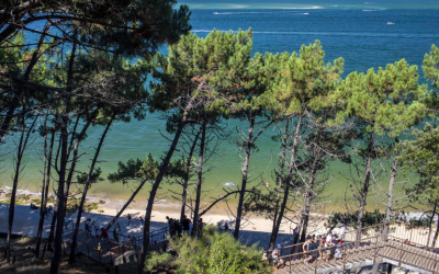 La dune du pilat: 110 mètres de sable et d’aventure