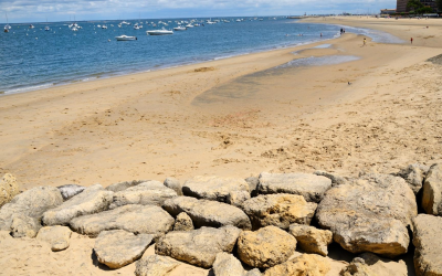 Pereire, plage sublime où océan et pins fusionnent en harmonie