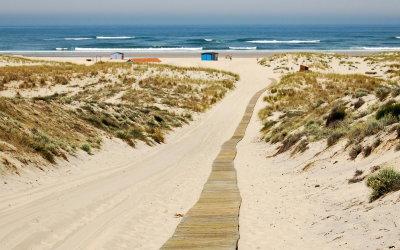 Arcachon révèle ses plages secrètes entre foule et solitude iodée