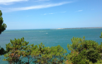Banc d’arguin, sanctuaire mouvant où la nature défie les vagues