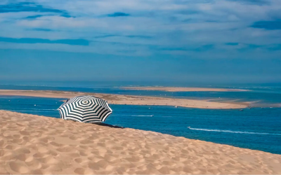Banc d’Arguin, escale mouvante où oiseaux et marées façonnent l’horizon