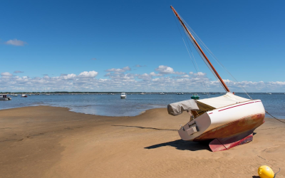 Banc d’arguin sanctuaire des sternes, joyau littoral mouvant et fragile