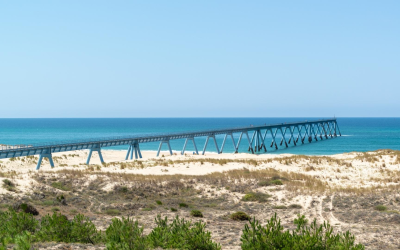 Explorez les plages secrètes du bassin d’arcachon en 2024 autrement