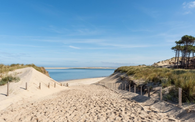 Arcachon intime: guide 2024 des plages entre pins et sable