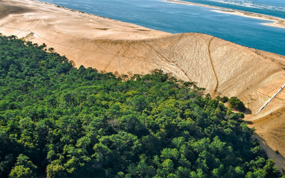 Guide complet 2024 pour dompter la dune du pilat mythique