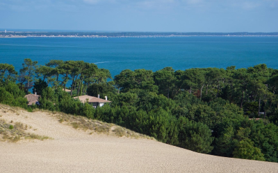 Guide sensoriel des plages d’Arcachon, de Pereire au Pyla