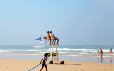 Immersion iodée sur les plages arcachonnaises, entre dune et pinède