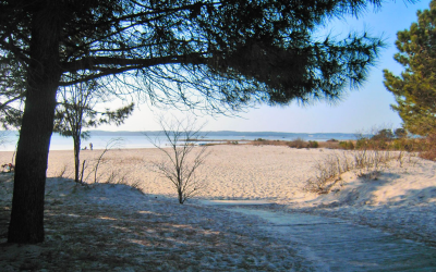 Plages du bassin d’arcachon: douceur, découvertes et souvenirs