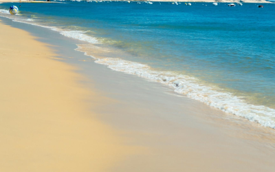 Banc d’Arguin, sanctuaire vivant où sable et ailes dansent