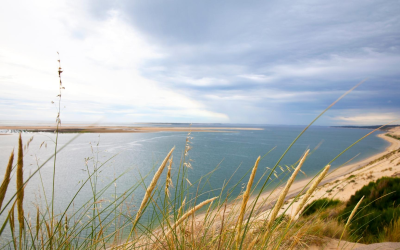 Dune du pilat, colosse mouvant capturant randonneurs et nature fascinante