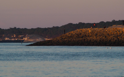 Voyage sensoriel sur les plages secrètes sauvages du bassin d’Arcachon
