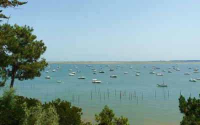 Arcachon, entre afflux record et criques secrètes à découvrir encore