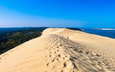 Grimpez la dune du pilat, géante entre océan et pins