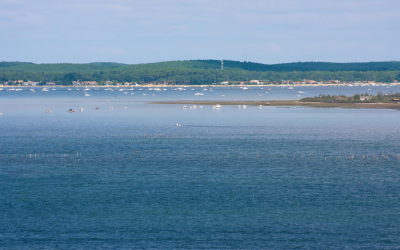 Arcachon, sable et chiffres: voyage sensoriel entre foule et quiétude