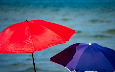 Banc d’arguin, joyau vivant du bassin face aux défis écologiques