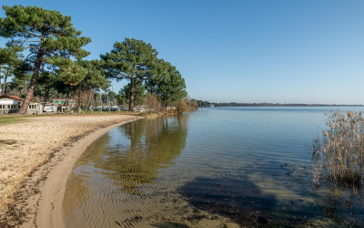 Secrets et marées : explorer toutes les plages d’arcachon en 2024