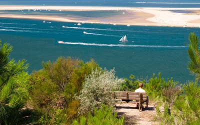 Dune du pilat, colosse vivant attire scientifiques et rêveurs