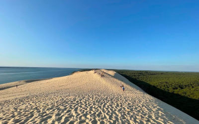 Dune du pilat, géant mouvant fascinant façonné par vents atlantiques