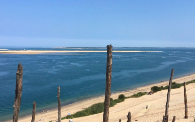 Banc arguin, croissant mouvant, refuge sauvage face aux foules grandissantes
