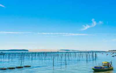 Arcachon, dunes et plages préservées entre foule et nature