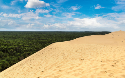 Explorer la dune du pilat, géant blond aux secrets mouvants
